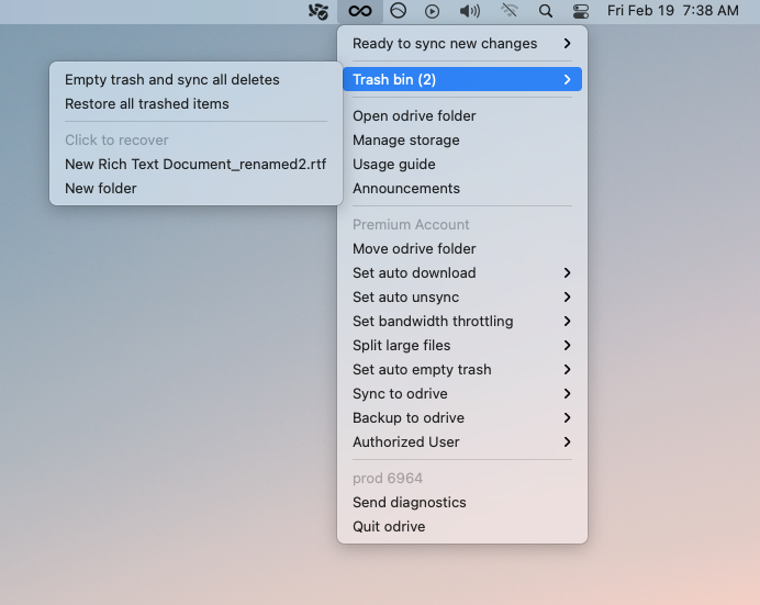 Screen Shot 2021-02-19 at 7.38.29 AM.png